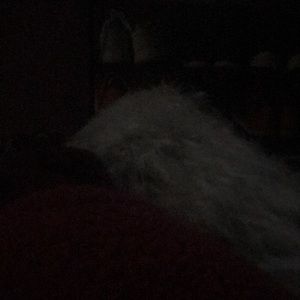 Meet your Posher, Alanna